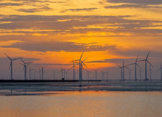 Check in cánh đồng điện gió - Bạc Liêu, chiêm ngưỡng vẻ đẹp mê mẩn&nbsp;